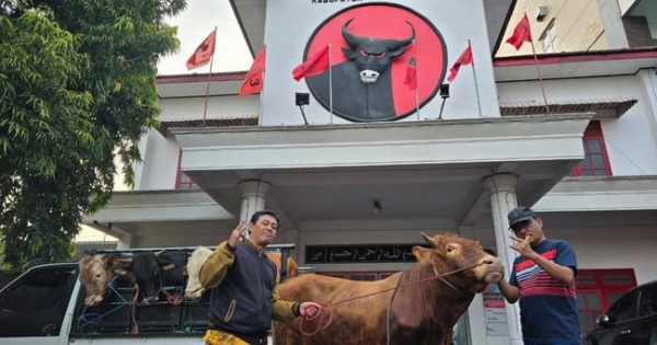 Antusias Sambut Idul Adha, DPC PDI Perjuangan di 38 Daerah Se-Jatim Sembelih Hewan&nbsp;Kurban